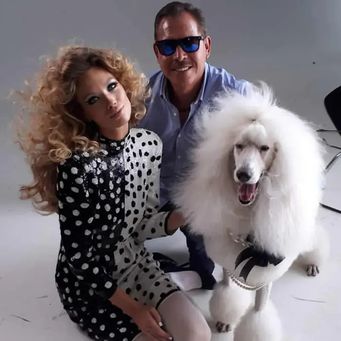 Estética canina de alto nivel, perro recién bañado y peinado